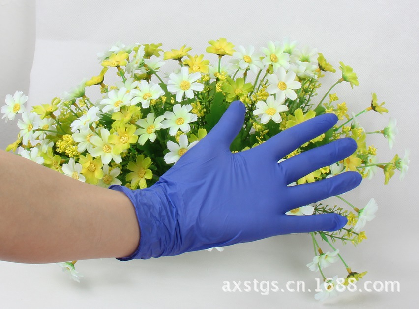 12寸无粉丁晴手套 丁睛手套 一次性手套 专业供