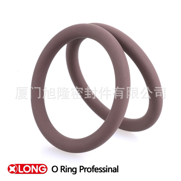 O ring9