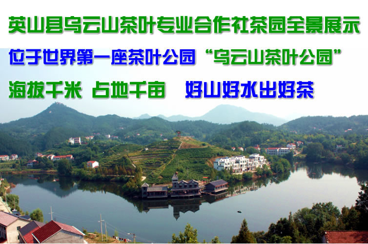 全景