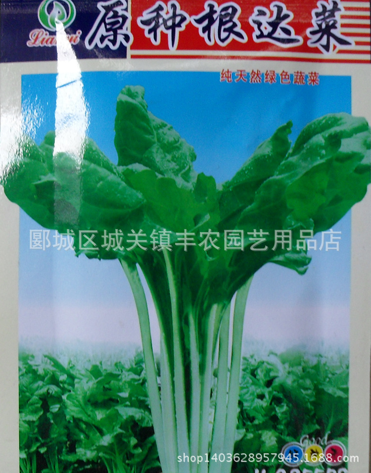 蔬菜种子、种苗-蔬菜种子批发 原种根达菜种子
