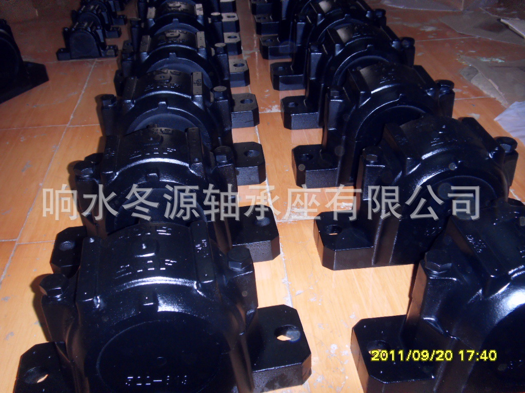 SDC11804