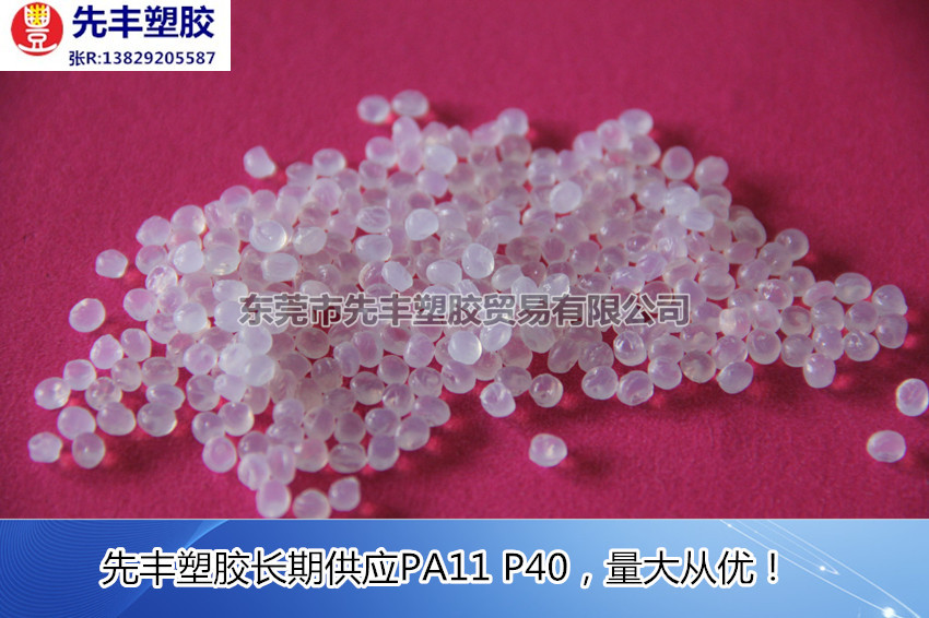 PA11 P40(5)_副本