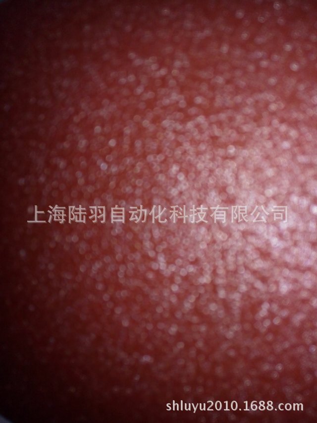 红砂
