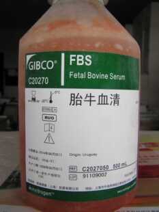 呼伦贝尔新生牛血清 100ml