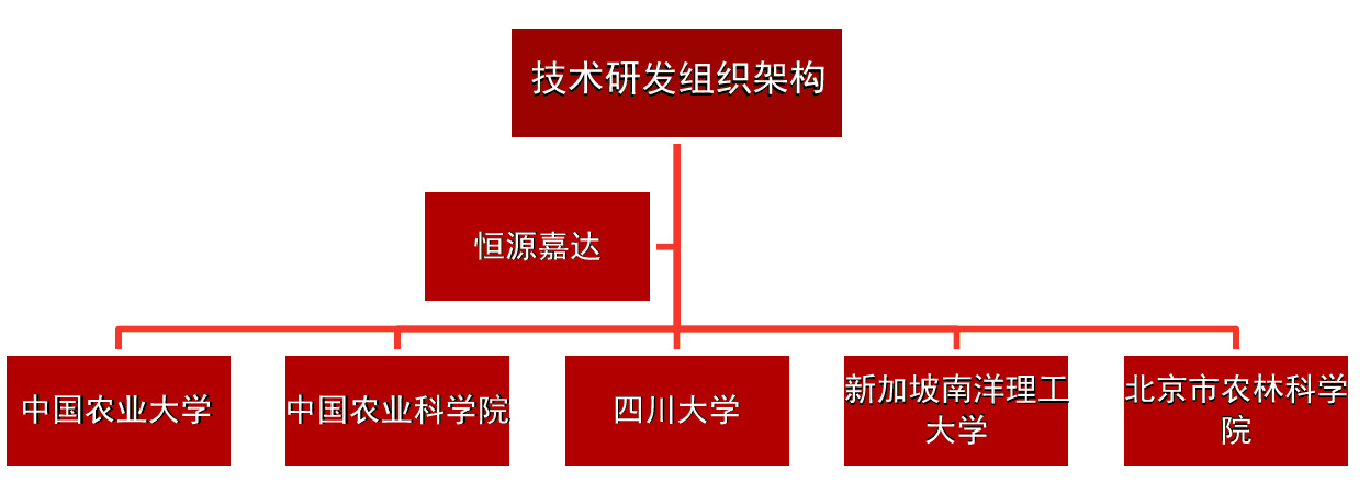 技术研发组织