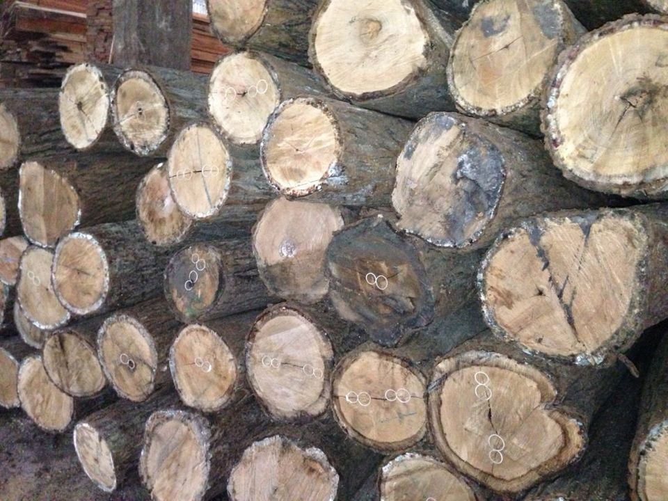 QQ图片20140401141016