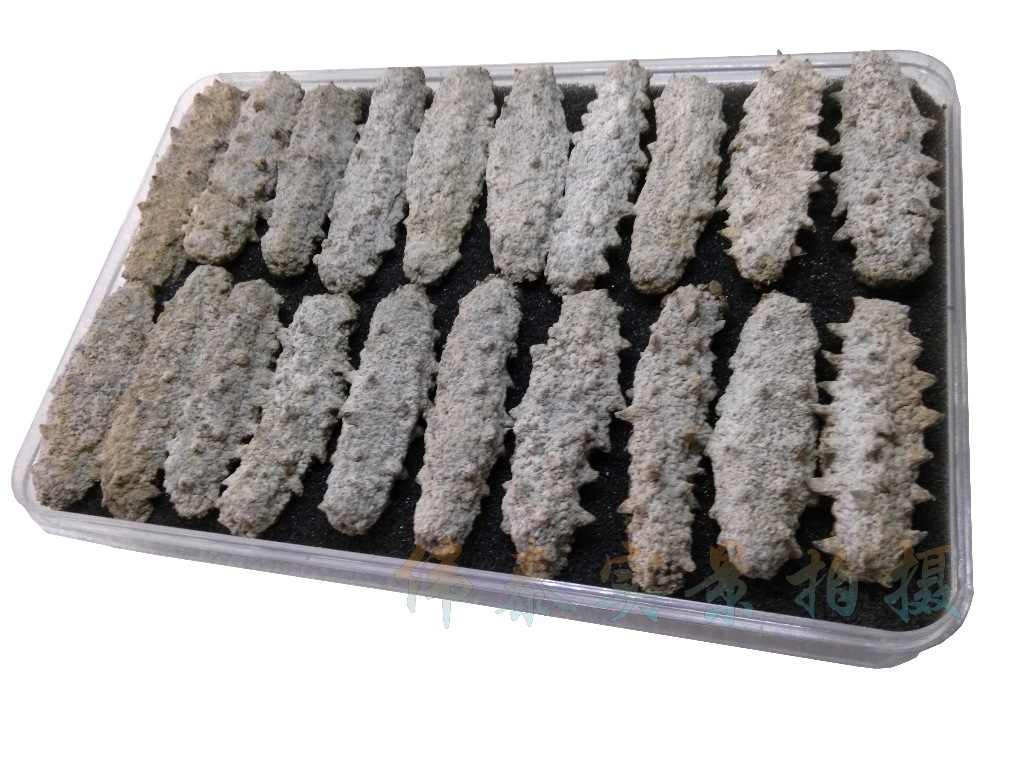 海参 拉缸盐自然晾晒干参 老淡干干海参 图片