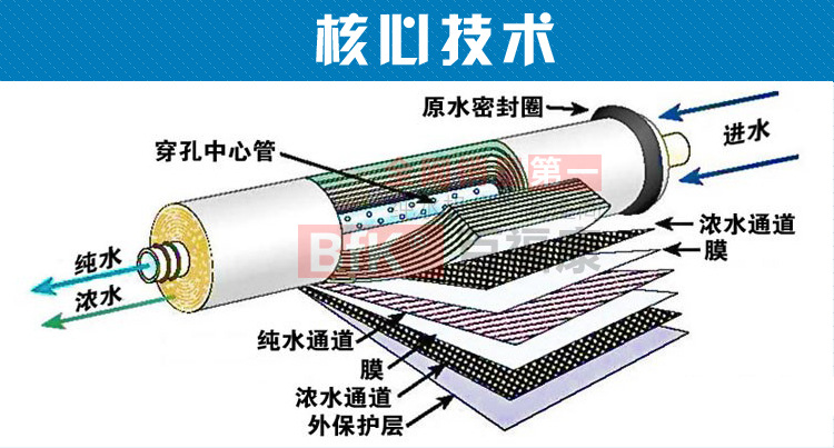 马到成功_19