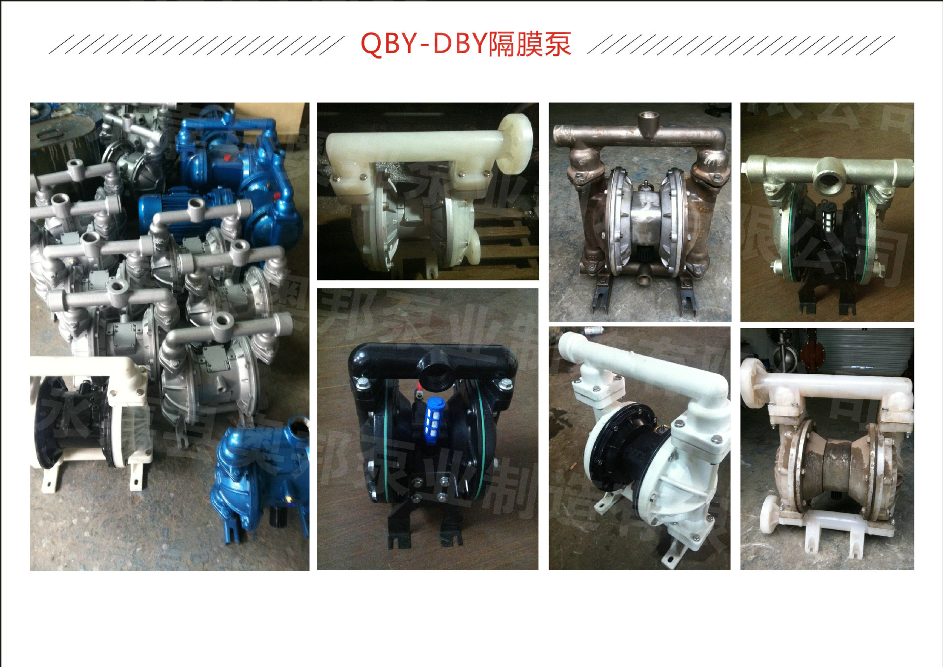 QBY-DBY隔膜泵02