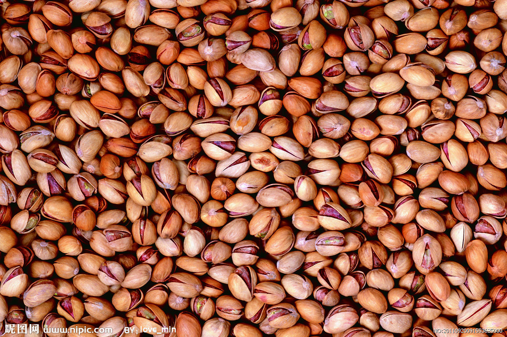 供应批发科曼开心果树苗基地直销 图片