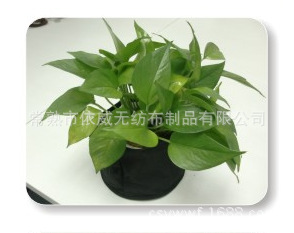 无纺布盆