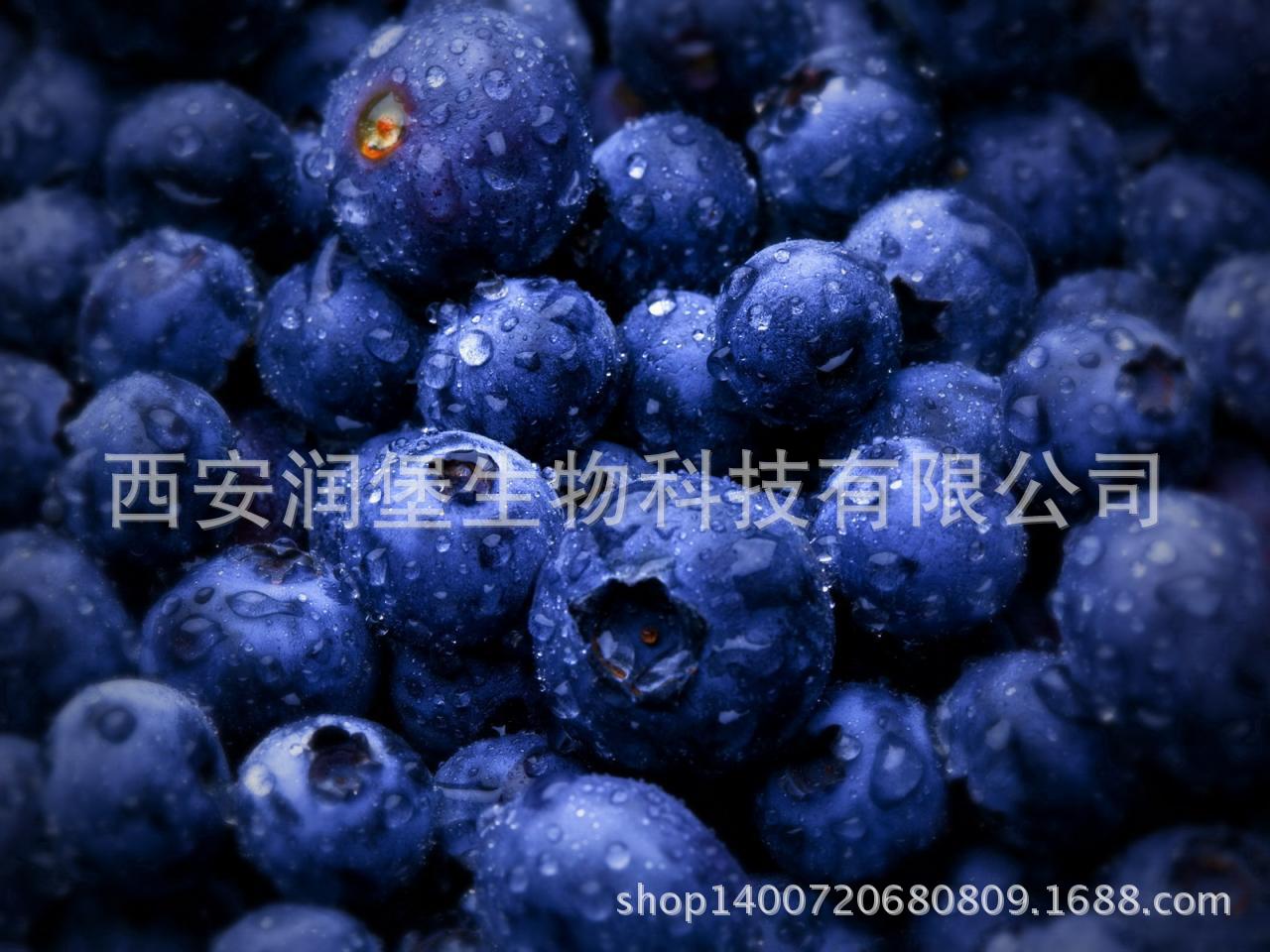 产品名称:蓝莓提取物 英文名称:blueberry extract 主要成分