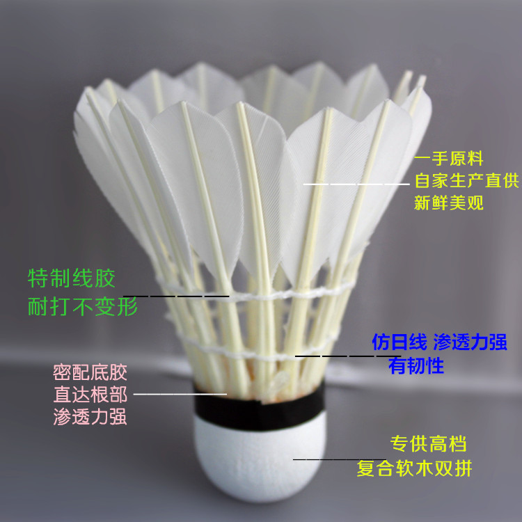 yz117 白鹅?_副本