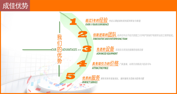 模板-我们的优势