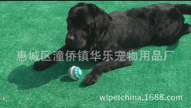QQ截圖20140103091803