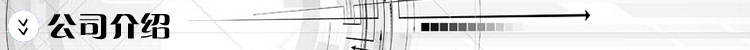 公司介绍