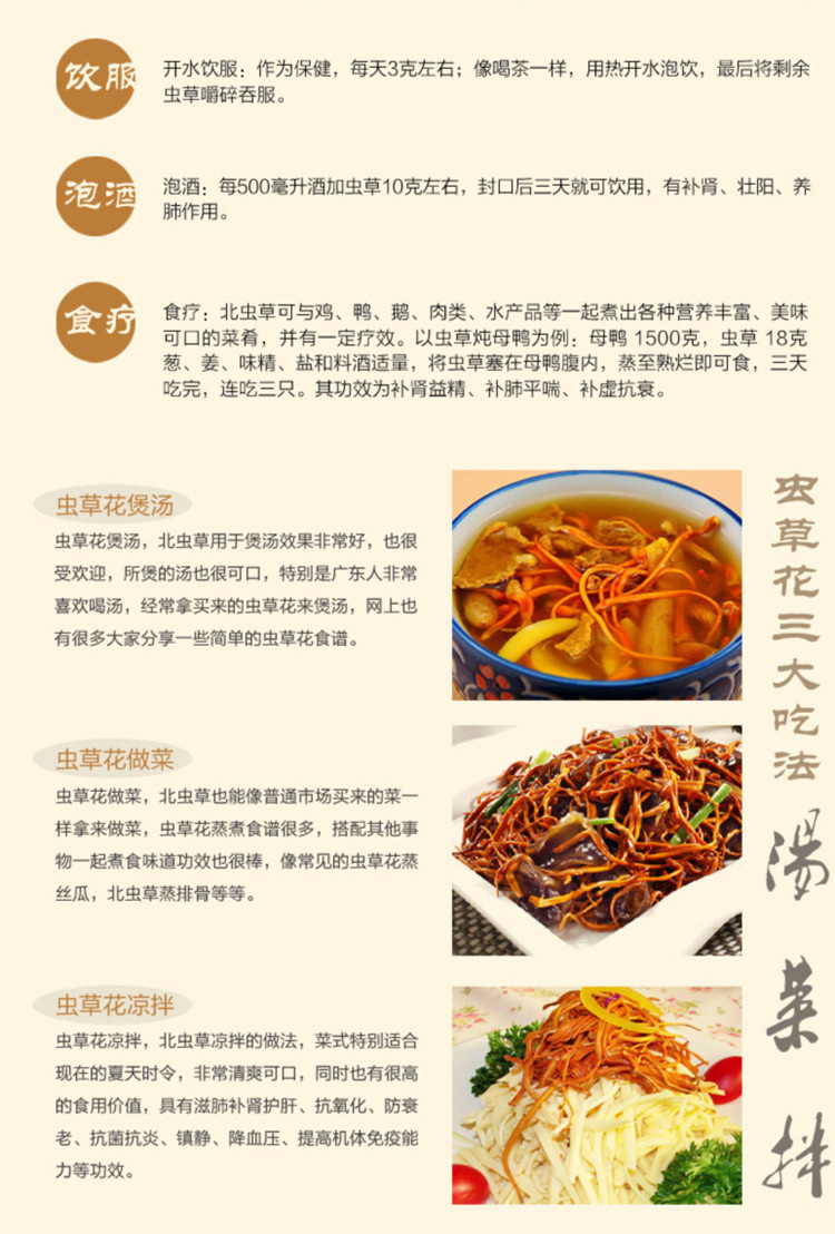 供应特级北虫草 质优价廉 精品推荐