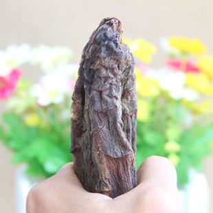 肉苁蓉2014年 内蒙古阿拉善野生肉苁蓉 250克 特价包邮 一件代发