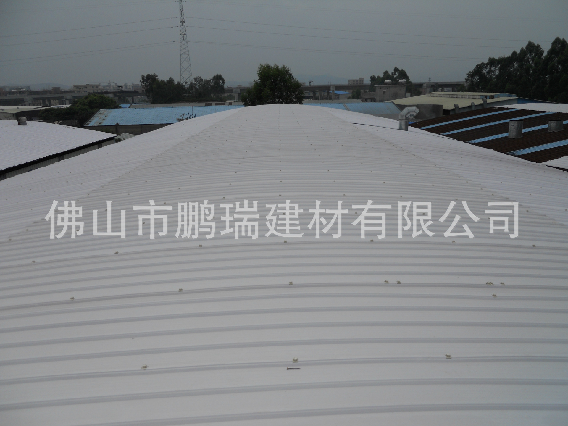 DSCN1889