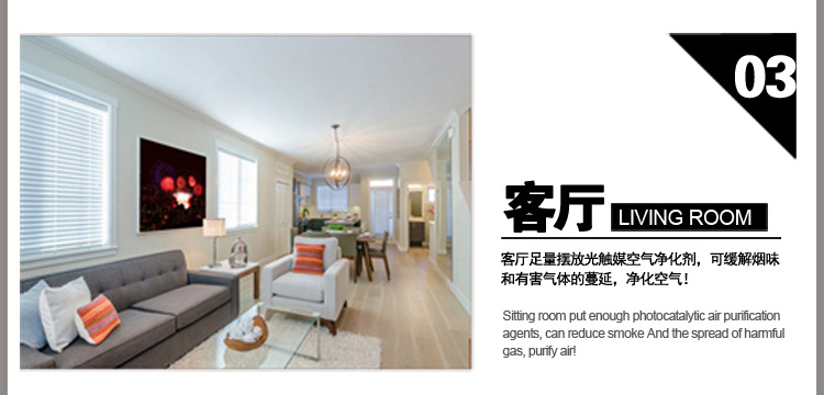 室内空气净化剂_13