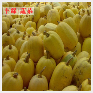 金丝菜