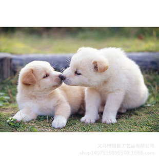 儿童画小动物