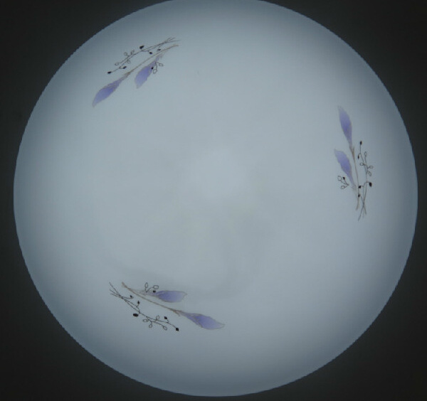 `%KLCU715MSG52YFBMD~1D4