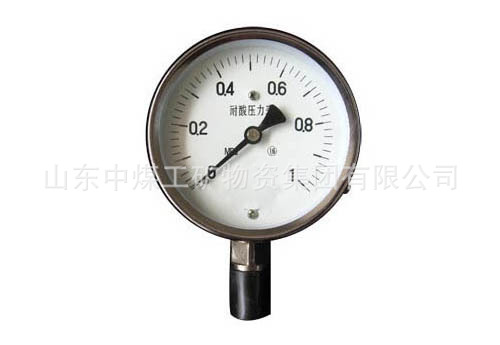 耐腐蚀不锈钢压力表