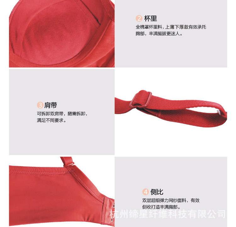 直立棉文胸,聚拢文胸,健康文胸,缔星棉文胸