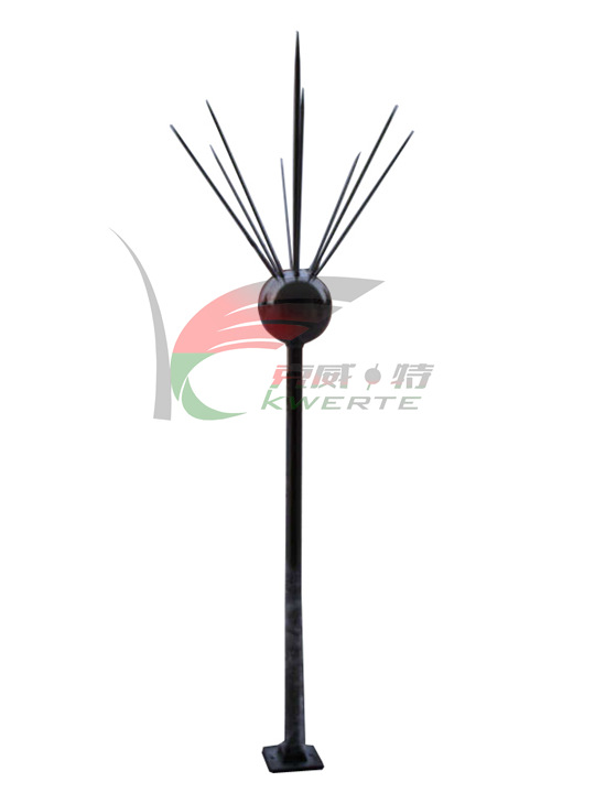 多针球形   克威特