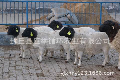 调整大小 P1100074