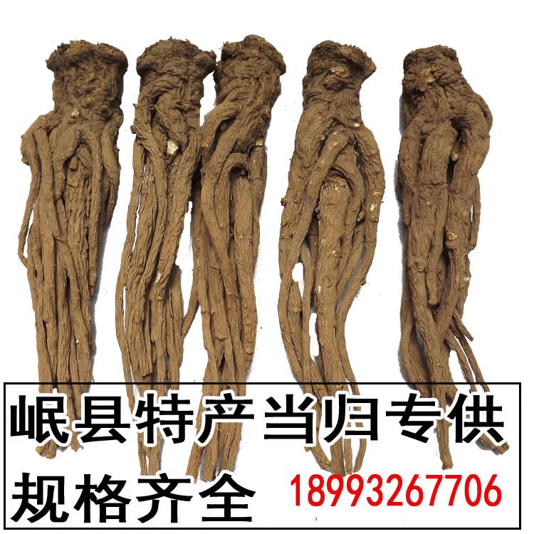 未标题-1