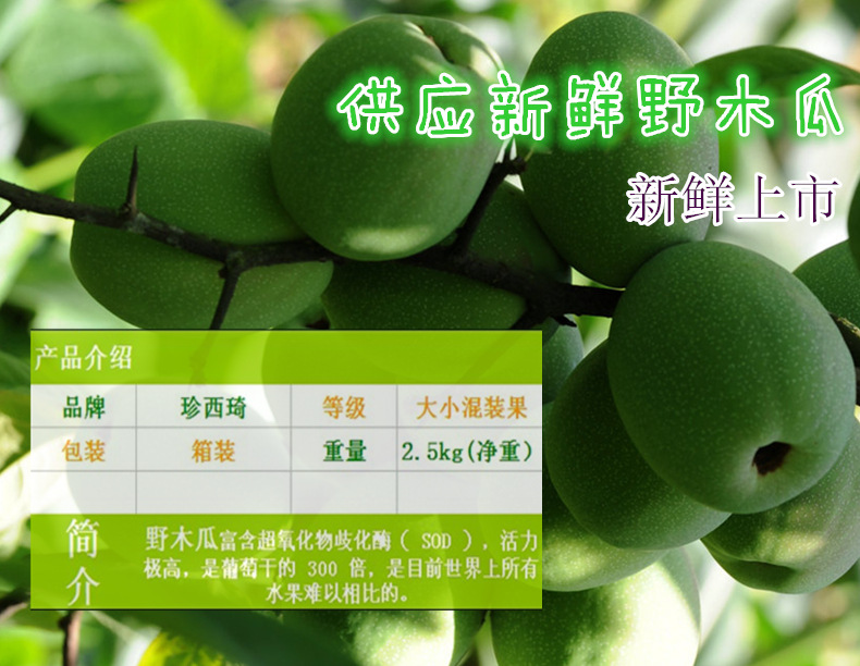 【火熱預(yù)訂】基地自產(chǎn) 貴州高原新鮮特級優(yōu)特 野木瓜  批發(fā)團購