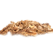 珊瑚菌_珊瑚菌价格_优质珊瑚菌批发\/采购