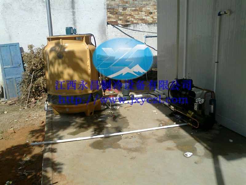 conew_conew_psbcaakgcbg