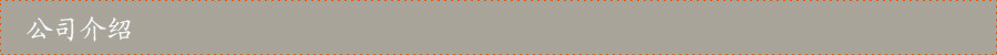 公司介绍