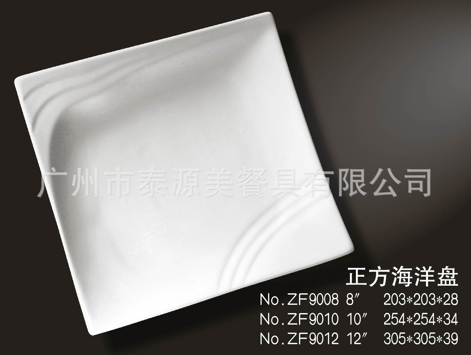 ZF9008-01
