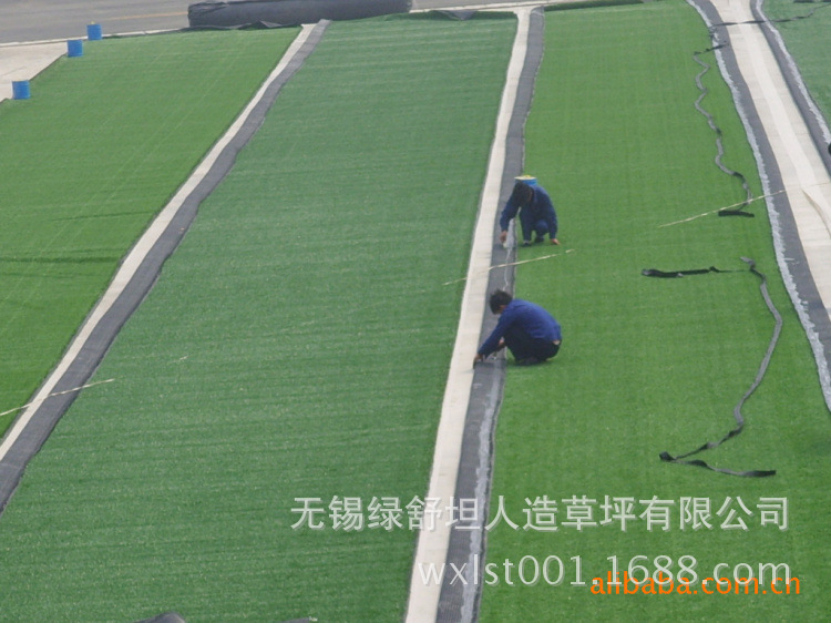 310027724_1777533011