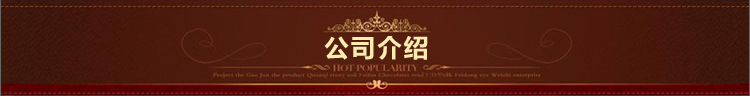 公司介绍