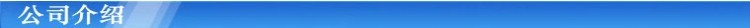 公司介绍