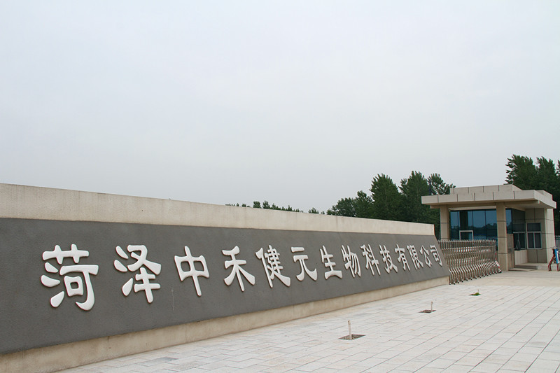 廠家直銷 小麥胚芽油 批發(fā)代理 提取OEM加工