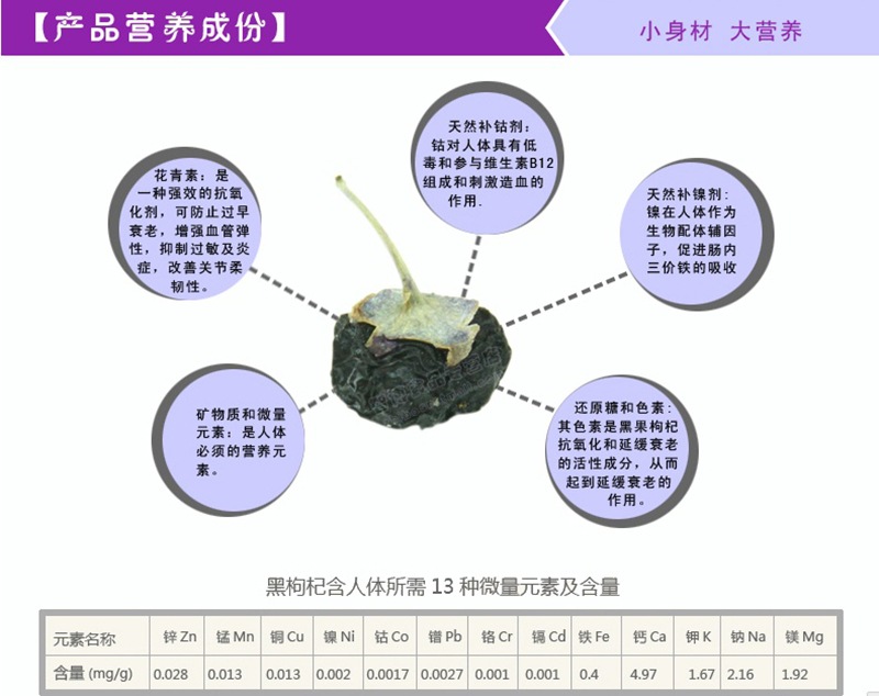 药用保健茶-厂家热销优质极品野生黑枸杞子 正