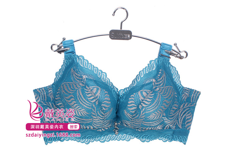 <em>文胸</em>-2014秋冬随意1456 B杯 模杯 侧收集中 网