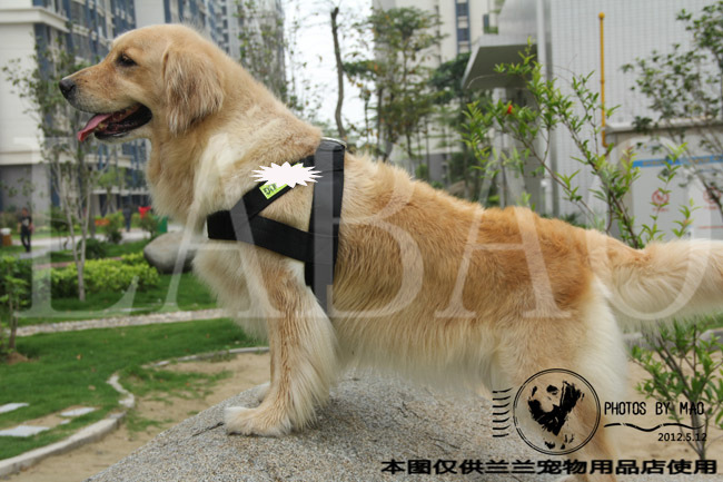 江苏常州宠物用品批发 大型犬中型犬反光牵引绳胸背带 狗链子【大号】