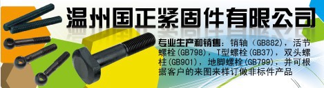 国正企业名片