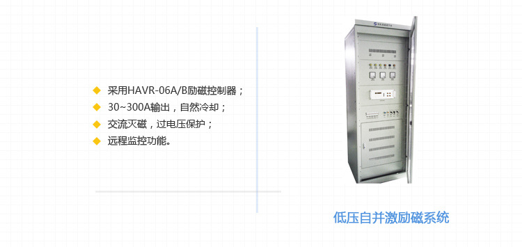 發電機勵磁系統_05