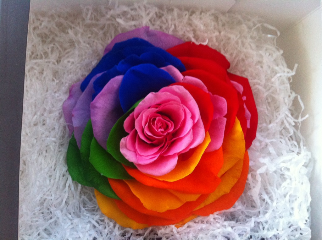 购鲜花、花艺制品-少量现货 出口级巨型永生花