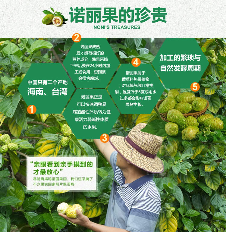 【750ml诺丽酵素原液 海南有机诺丽果汁批发代