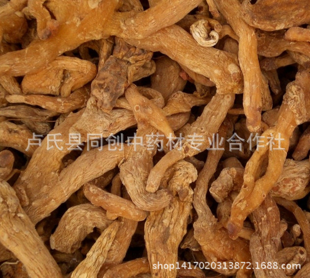 黄精7