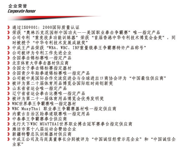 潍坊中成王体育用?企业荣誉